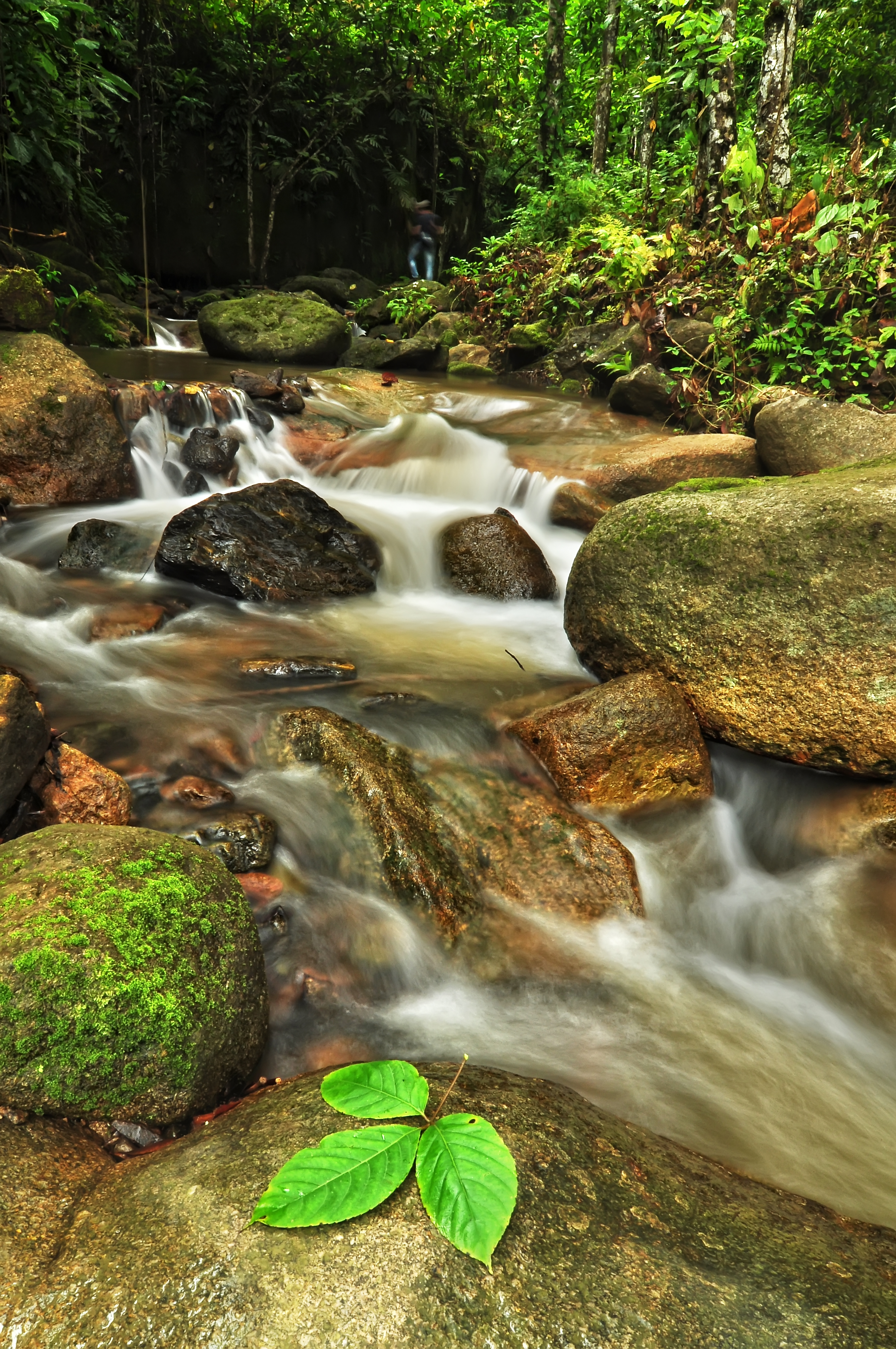 Taman Eko-Rimba Ulu Jerangsang